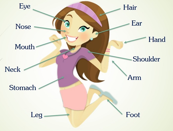 Từ vựng tiếng Anh về thân thể người rất đa dạng