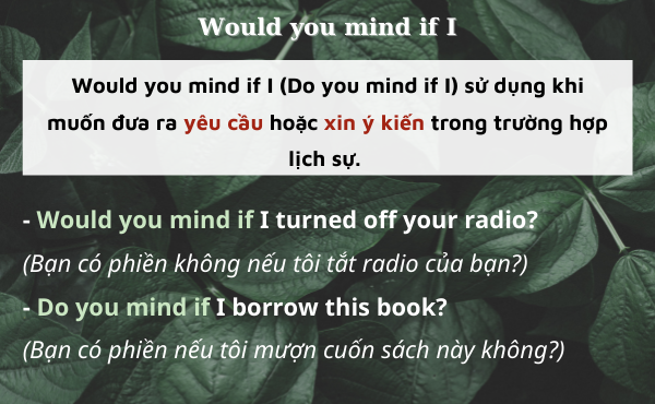 Ví dụ câu sử dụng cấu trúc Would you mind