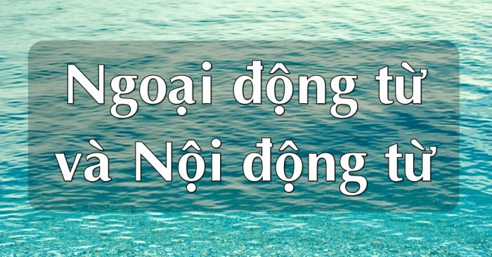 Cách phân biệt ngoại động từ và nội động từ
