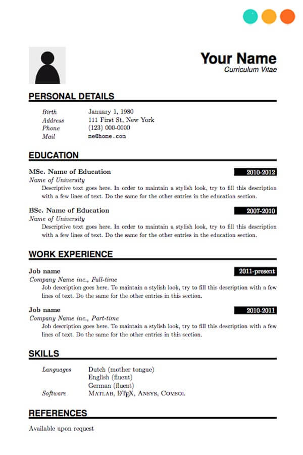 Mẫu CV tiếng Anh tiêu chuẩn 2