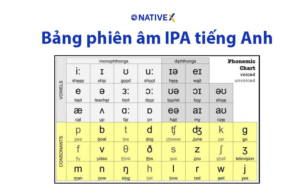 bang phien am ipa tieng anh