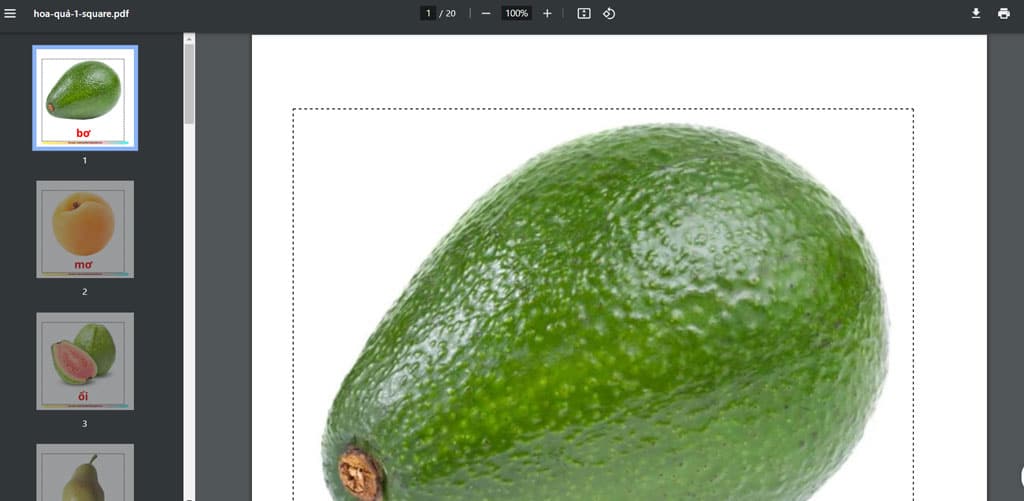 download flashcard ve cac loai trai cay buoc 3