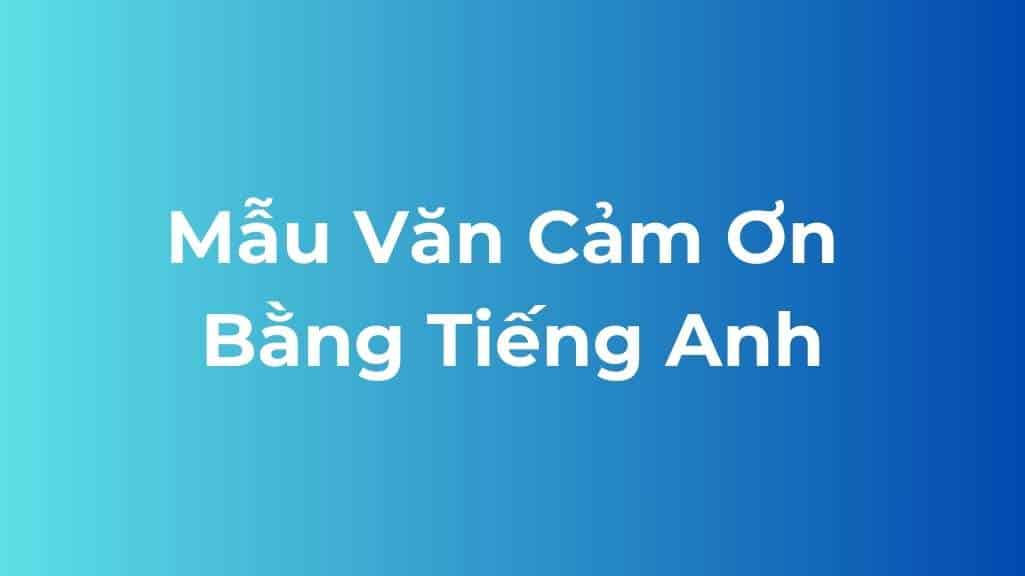mau van cam on bang tieng anh