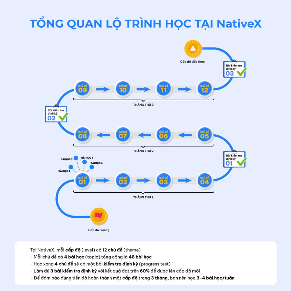 tong-quan-lo-trinh-trinh-hoc-mot-cap-do-tren-nativex