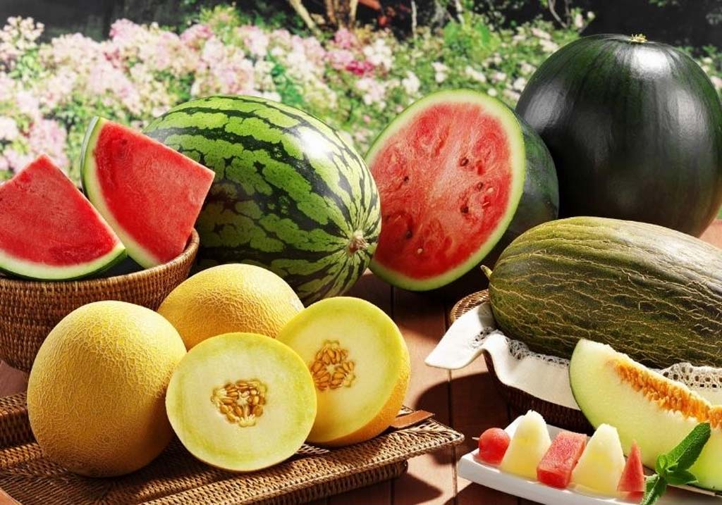 tu vung tieng anh ve cac loai dua