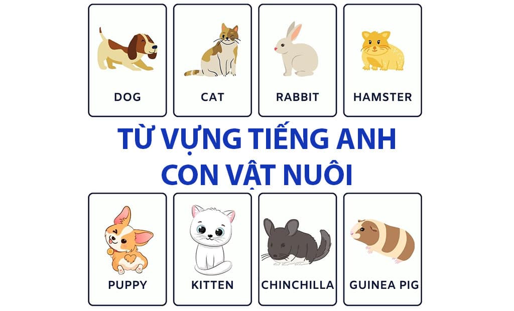 tu vung tieng anh ve con vat nuoi
