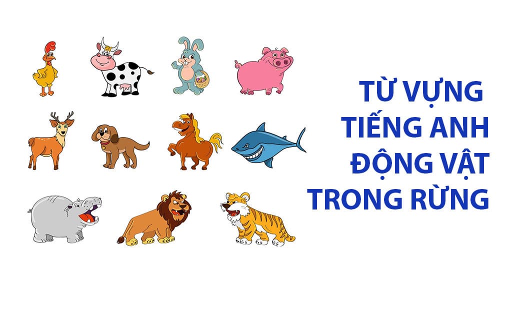 tu vung tieng anh ve dong vat trong rung
