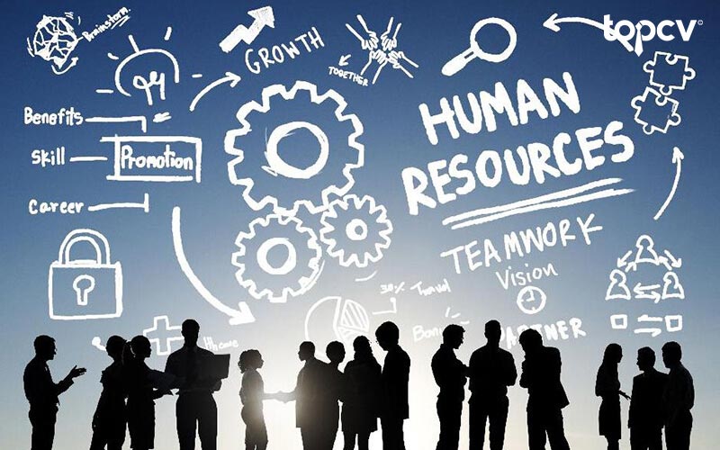 tu-vung-tieng-anh-ve-nghe-nhan-su