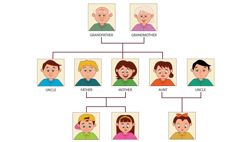 tu-vung-tieng-anh-ve-the-he-bo-me-ong-ba