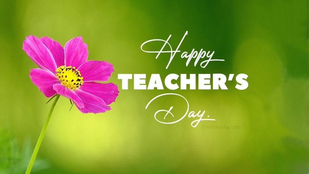 Bài luận tiếng anh về 20-11