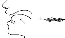 Cách phát âm i ngắn