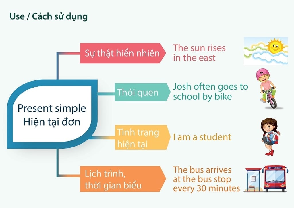 Cách sử dụng thì hiện tại đơn