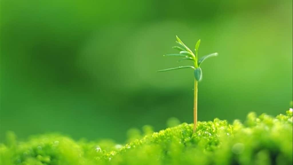 câu châm ngôn về cuộc sống tươi đẹp