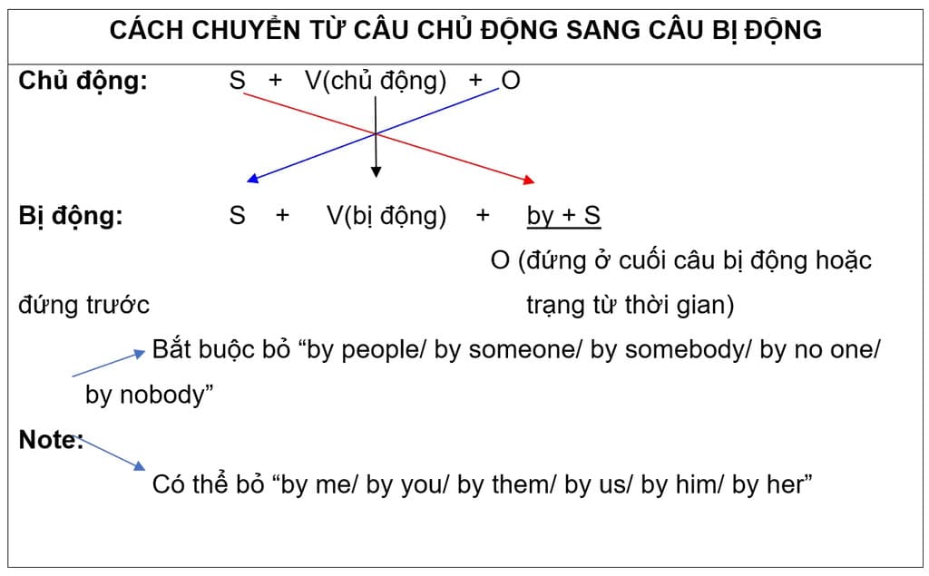 cau chu dong cau bi dong