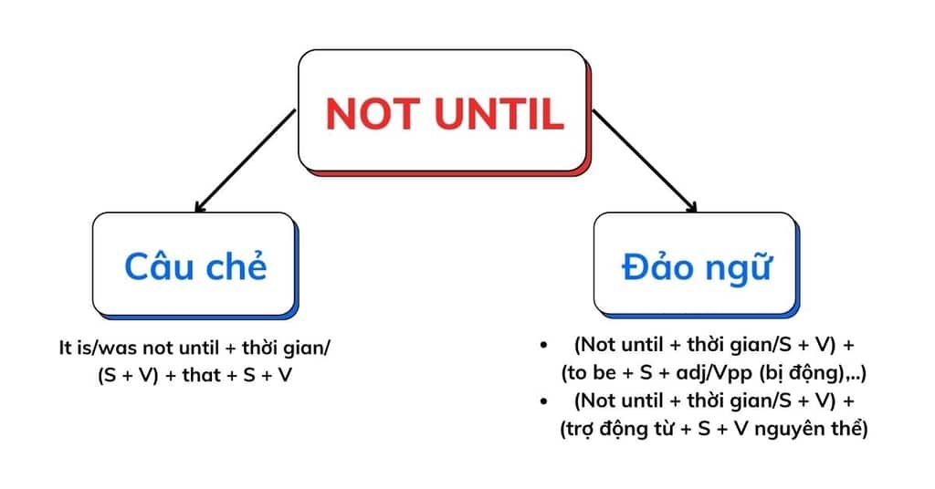 Cấu trúc Not Until