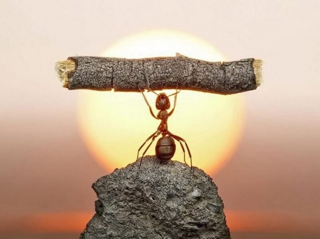 Những câu nói tiếng anh hay về sự mạnh mẽ kiên trì