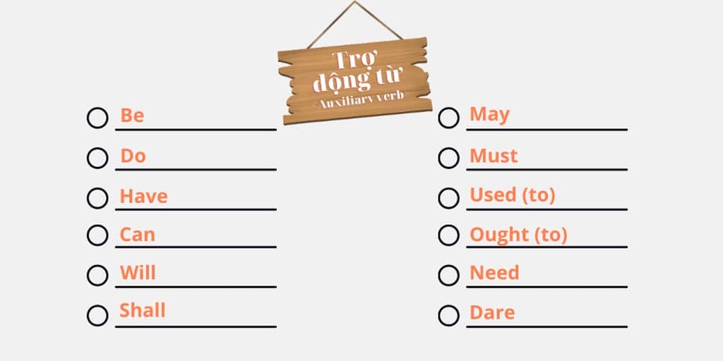 Phân loại trợ động từ