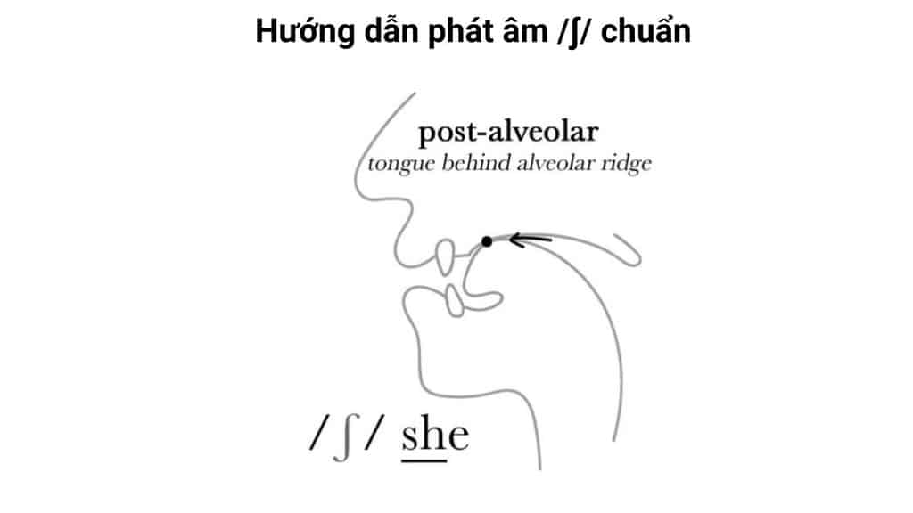 Phát âm f