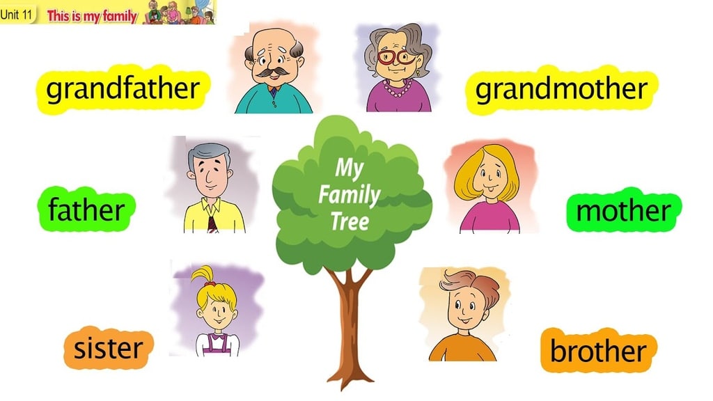 Từ vựng tiếng anh lớp 3 Unit 11