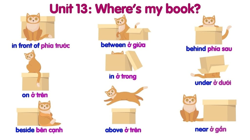 Từ vựng tiếng anh lớp 3 Unit 13