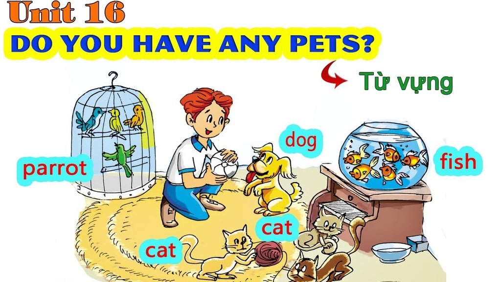 Từ vựng tiếng anh lớp 3 Unit 16