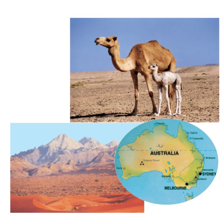 Từ vựng tiếng Anh Unit 9