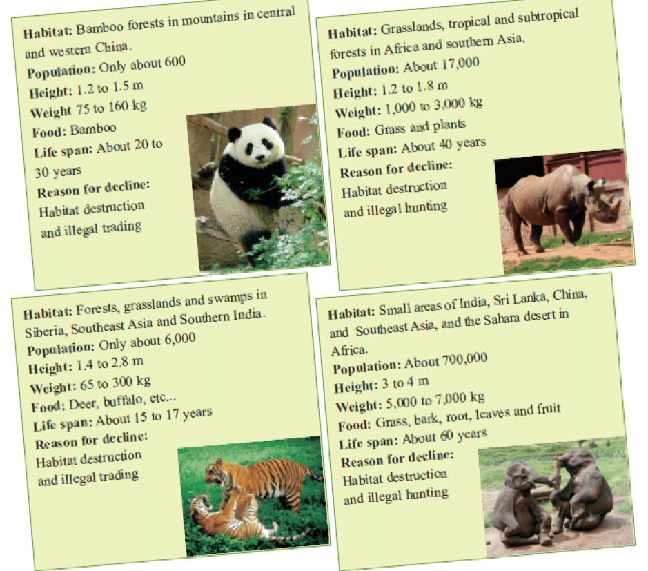 Từ vựng tiếng Anh Unit 10