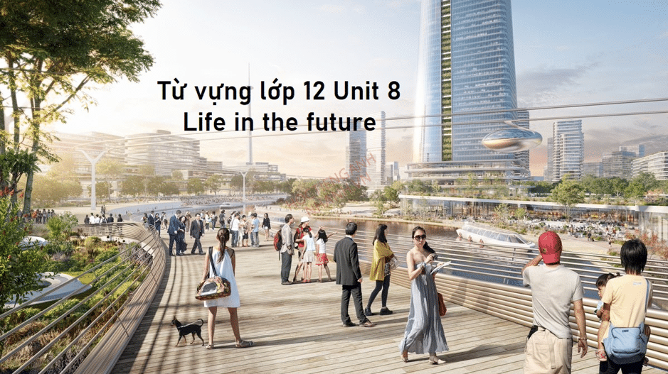 Từ vựng tiếng Anh Unit 8