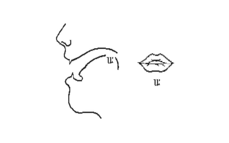 Cách phát âm u ngắn