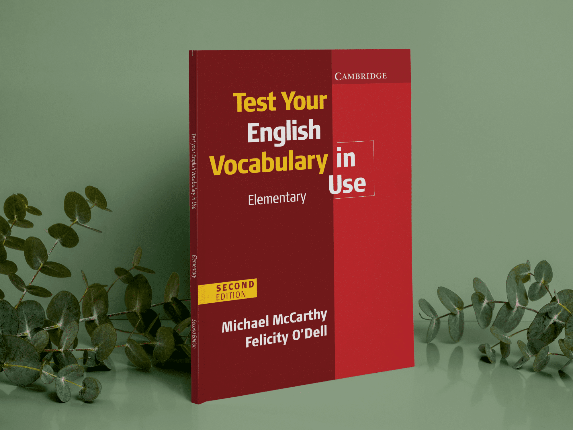 English Vocabulary in Use – Elementary