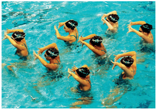 Từ vựng tiếng Anh Unit 12