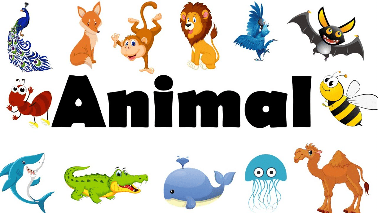 Từ vựng tiếng Anh chủ đề động vật