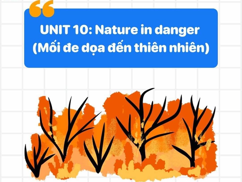 Từ vựng tiếng anh lớp 11 Unit 10