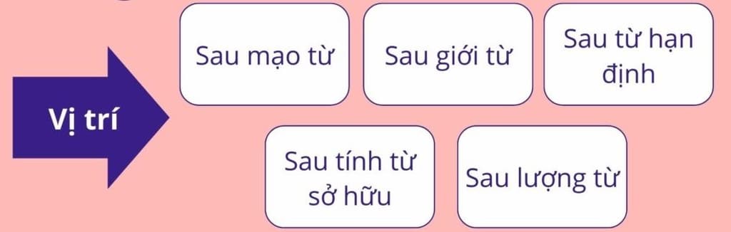 Vị trí danh từ 